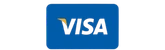 Visa Payment